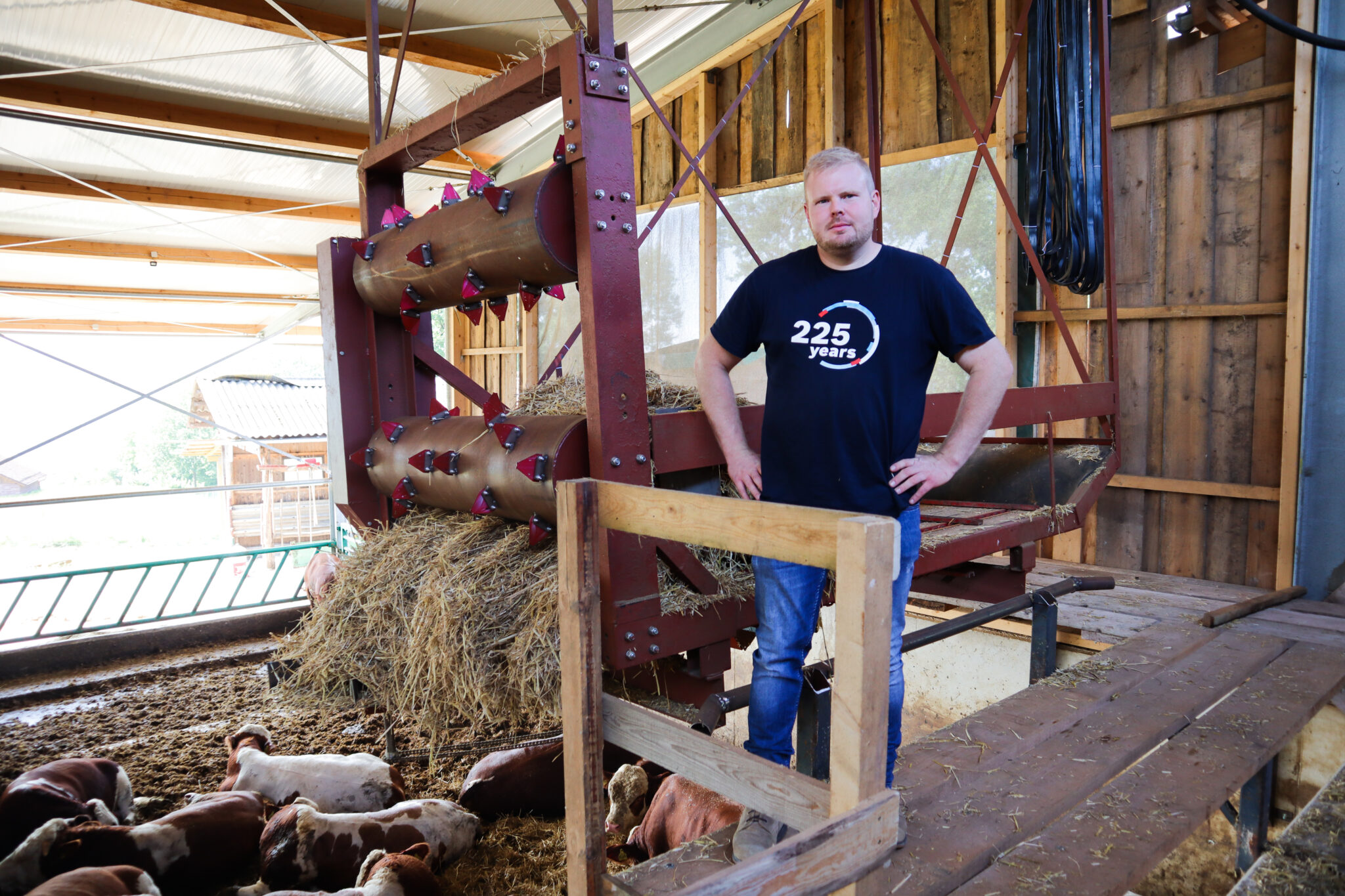 Gewagt und geschafft einen Tretmiststall günstig selber bauen LKV
