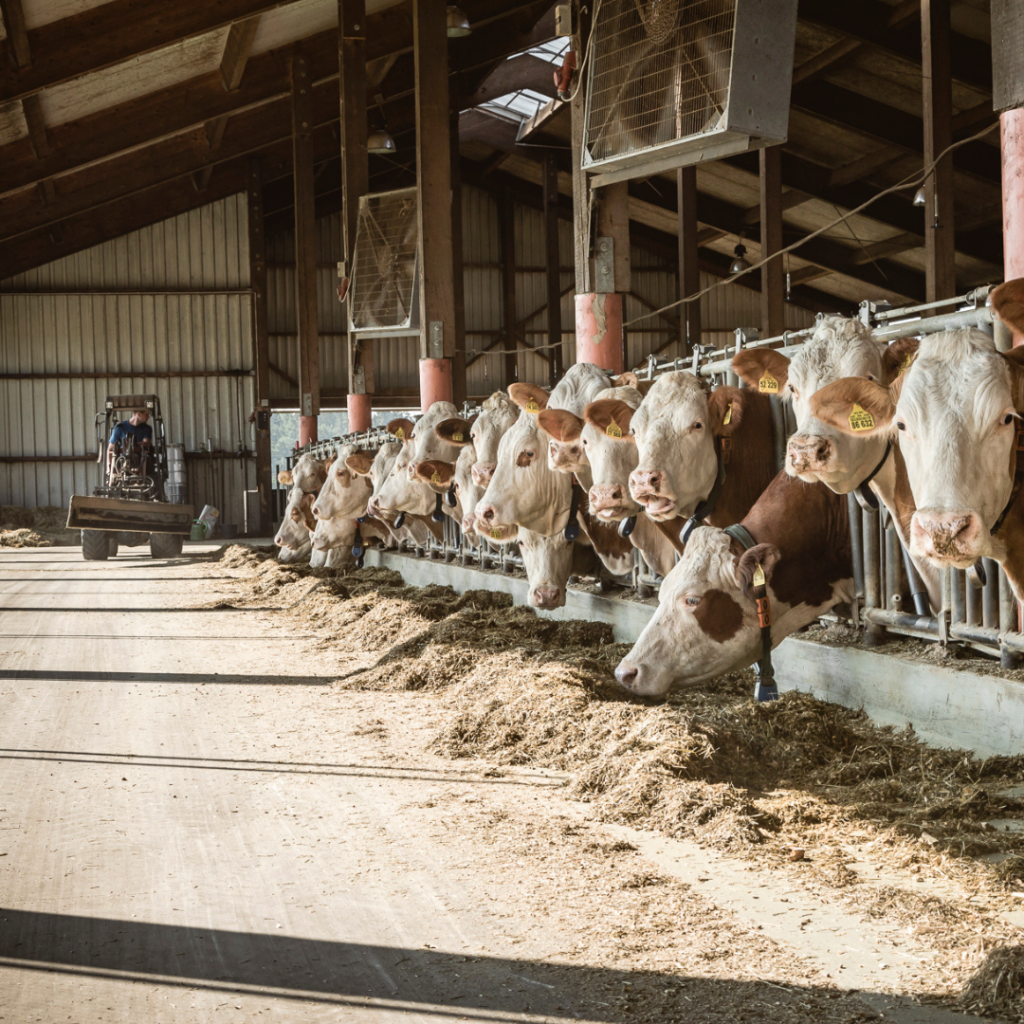 LKV Bayern wir freuen uns, dass Sie uns besuchen! - LKV Bayern
